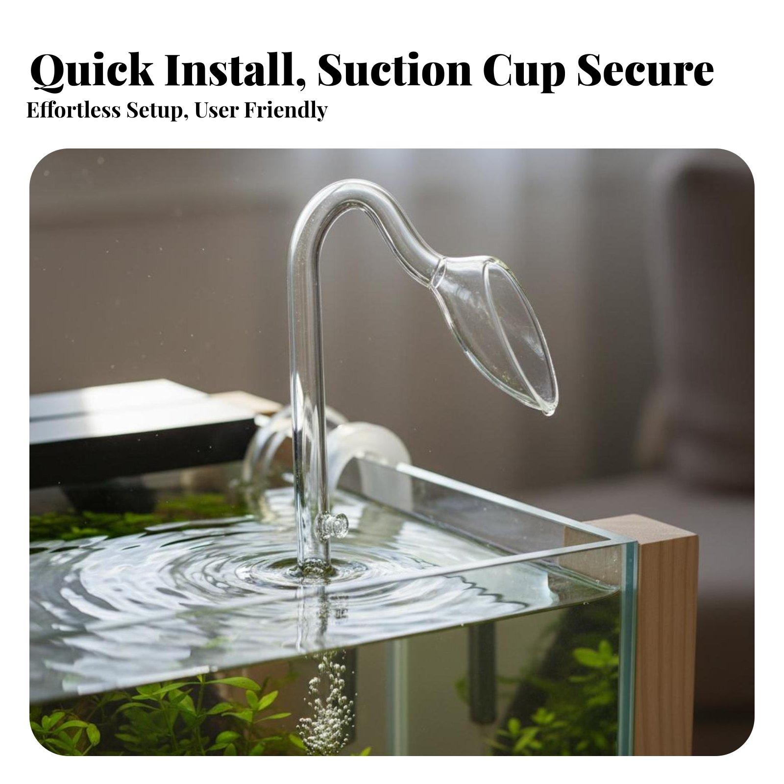 High Transparency Glass Aquari - đánh giá và giá Aquarium Planted Set Up