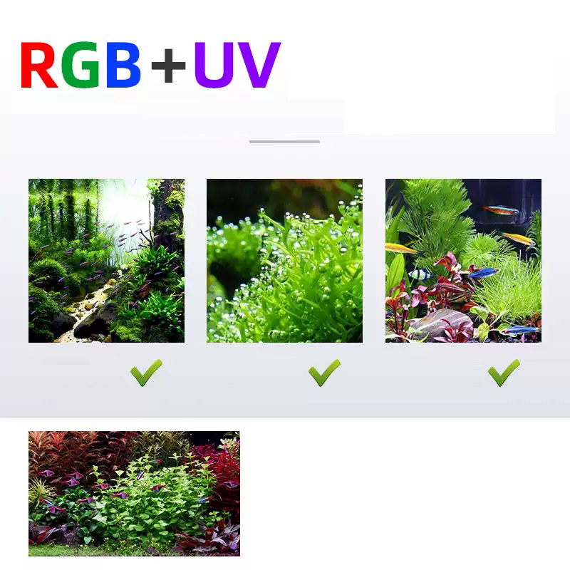 Led Lighting 60cm 80cm 90cm RG - đánh giá và giá Planted Aquarium Pendant Light