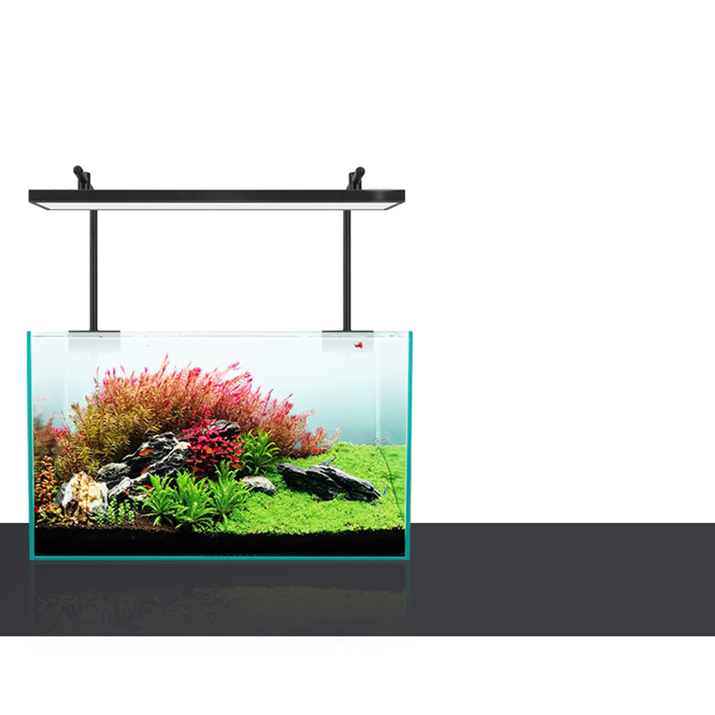 Led Lighting 60cm 80cm 90cm RG - đánh giá và giá Planted Aquarium Pendant Light