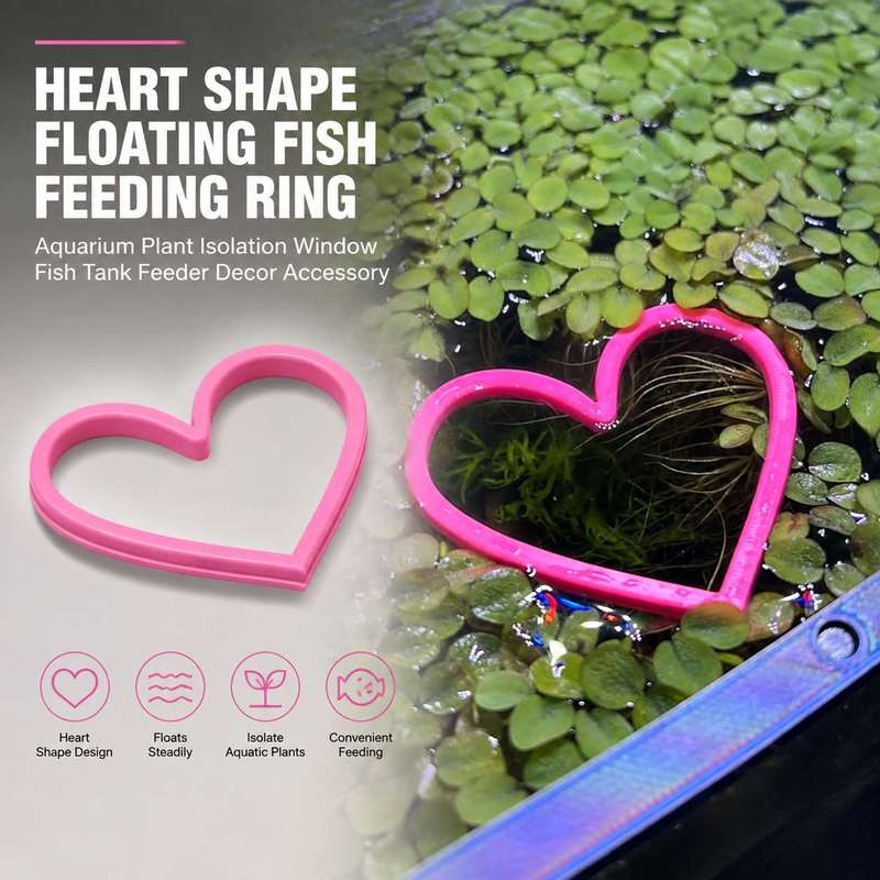 Heart Shaped Floating Fish Fee - đánh giá và giá Aquarium Plant Rings
