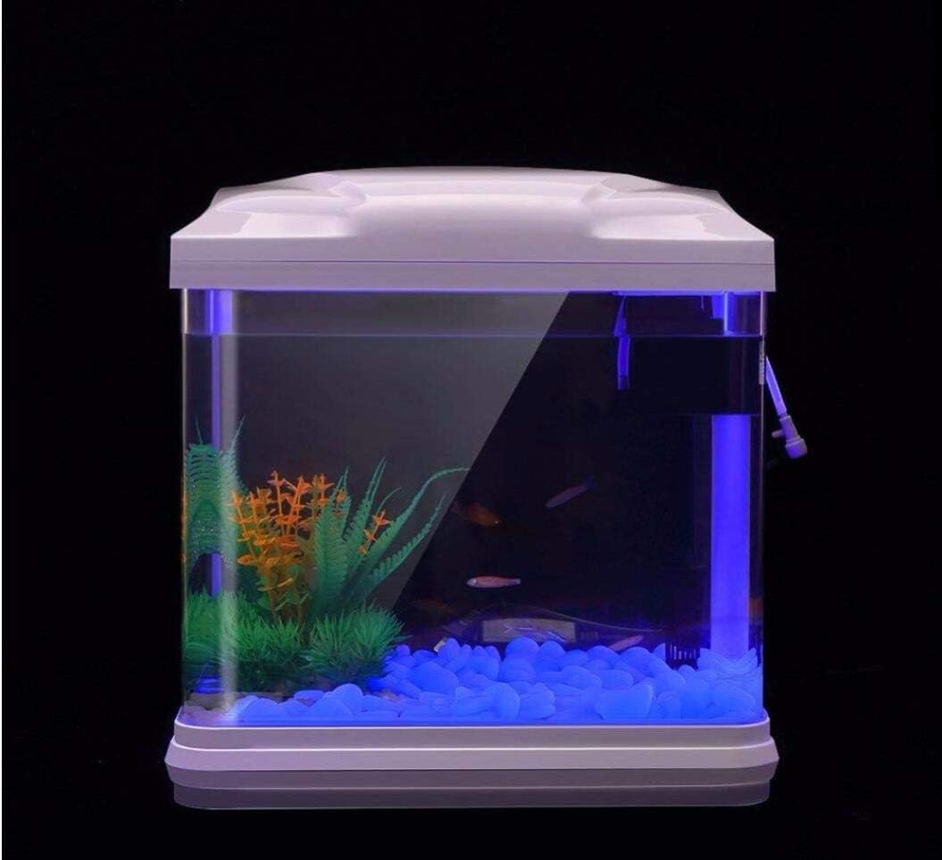 Fish Tank Rocks Glow Blue Pebb - đánh giá và giá Aquarium Planted Fish Tank