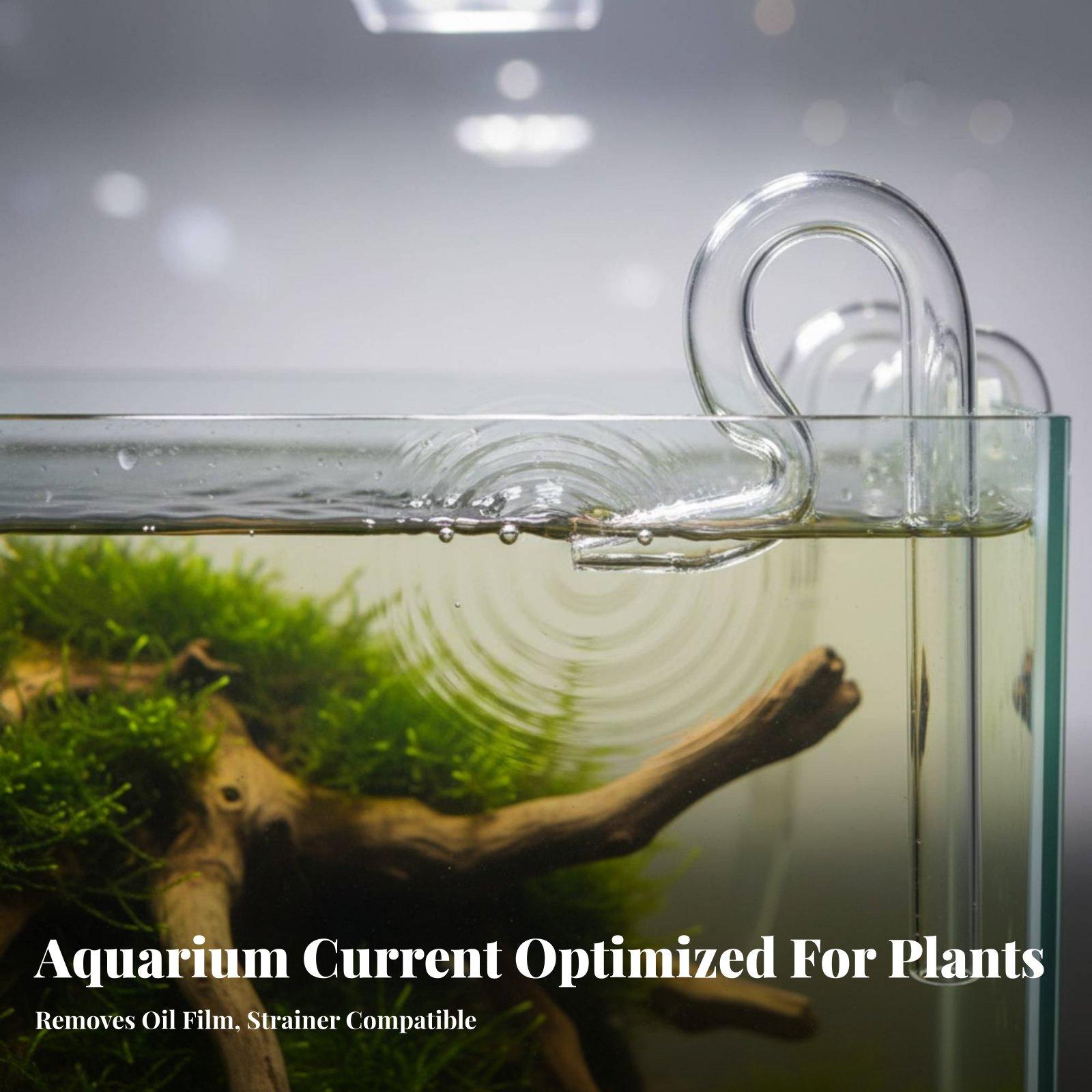 Glass Surface Skimmer Pipe Aqu - đánh giá và giá Planted Aquarium Freshwater
