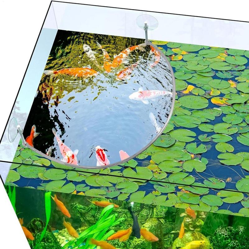 Floating Plant Corral Fish Fee - đánh giá và giá Aquarium Plant Rings