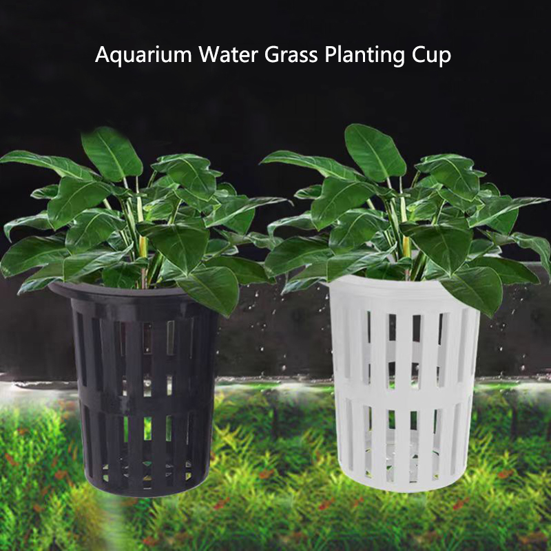1/3Pcs Aquarium Plant Basket W - đánh giá và giá Aquarium Plant Rings