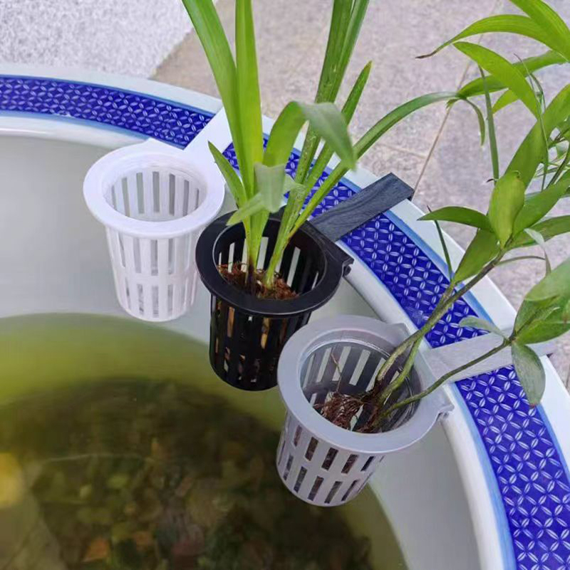 1/3Pcs Aquarium Plant Basket W - đánh giá và giá Aquarium Plant Rings