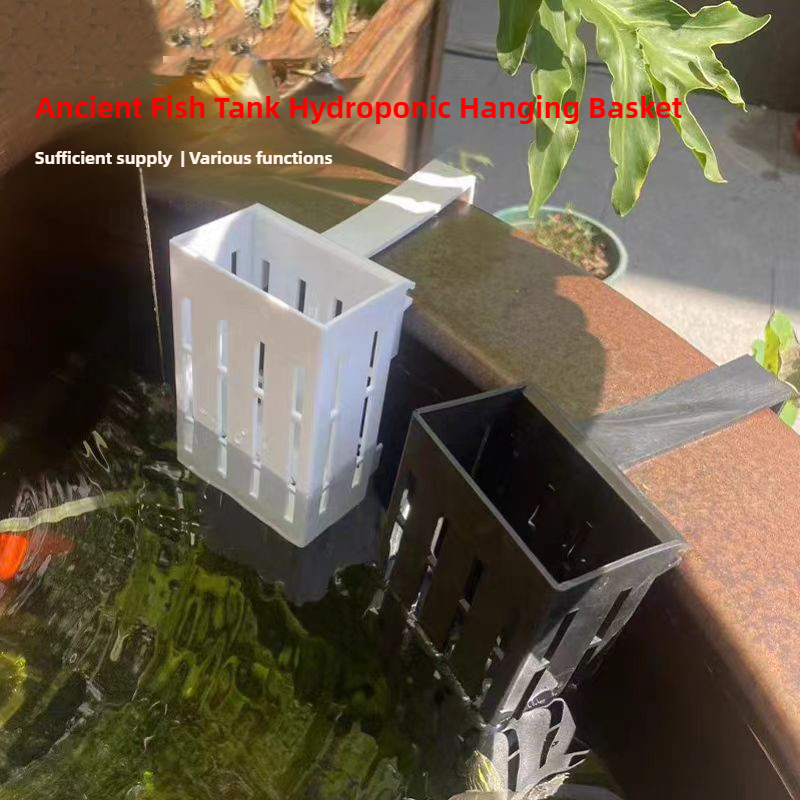1/3Pcs Aquarium Plant Basket W - đánh giá và giá Aquarium Plant Rings