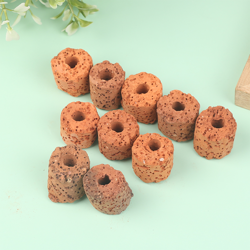 ^10Pcs Plant Ring Aquarium Fix - đánh giá và giá Aquarium Plant Rings