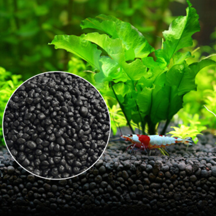 Bể Cá Cảnh Vật Có Hạt Đất Fish - đánh giá và giá Aquasoil Substrate