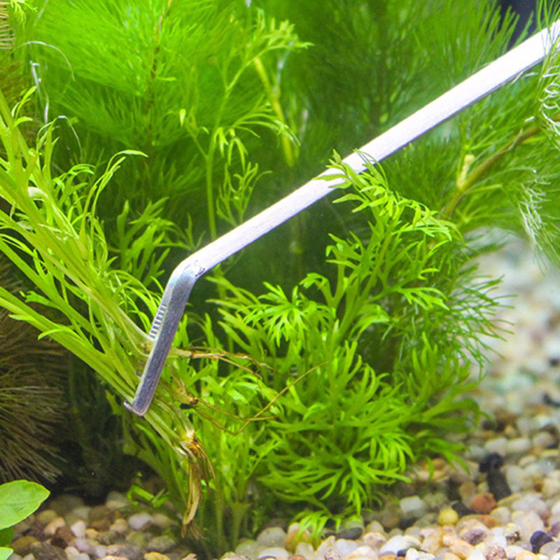 Professional Aquarium Maintena - đánh giá và giá Planted Aquarium Cleaning Kit