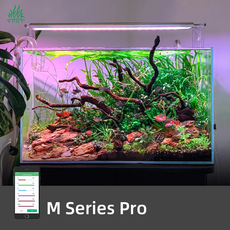 ZXY Hot Sales WEEK AQUA M1200P - đánh giá và giá Planted Aquarium For Sale