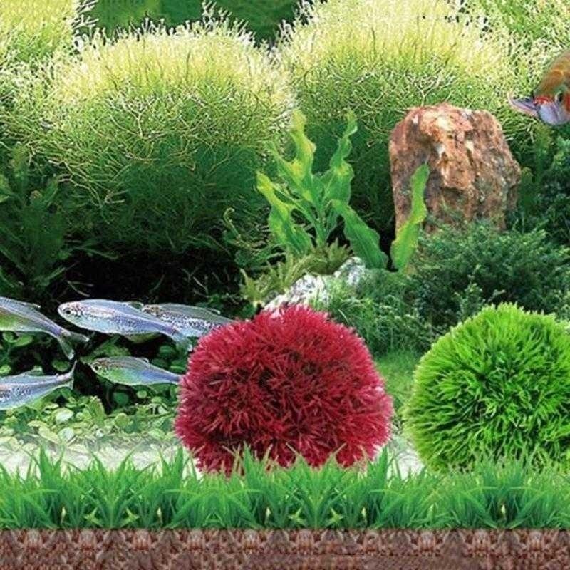 2026 Artificial Aquatic Plasti - đánh giá và giá Aquarium Plant Rings