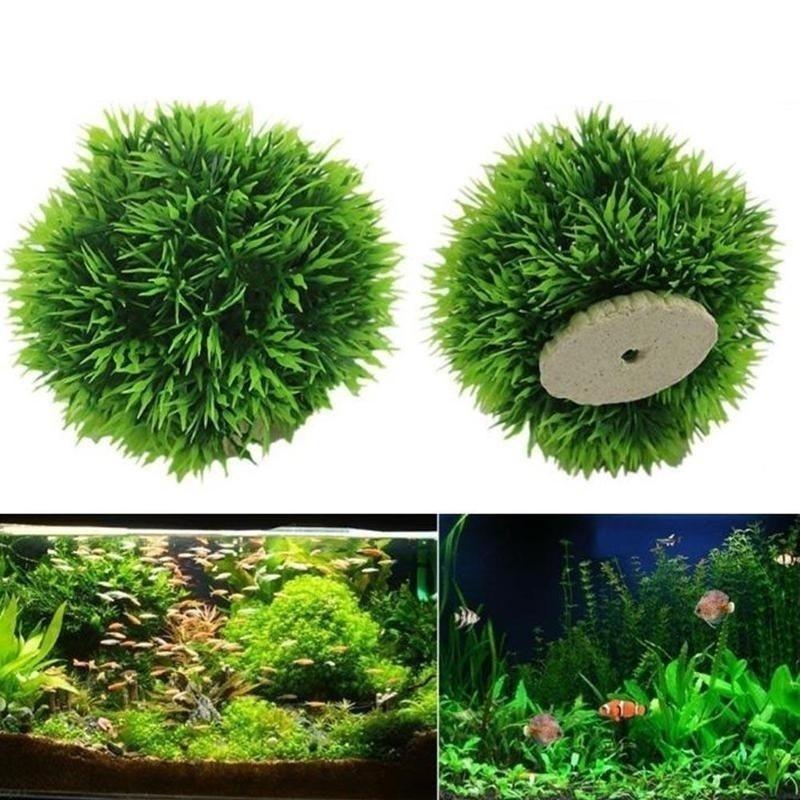 2026 Artificial Aquatic Plasti - đánh giá và giá Aquarium Plant Rings