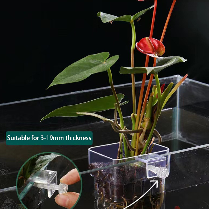Multifunctional Fish Aquarium  - đánh giá và giá Aquarium Planted Fish Tank