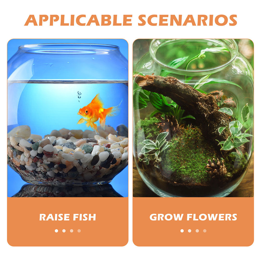 1Set Clear Desktop Fish Bowl S - đánh giá và giá Planted Aquarium Bowl