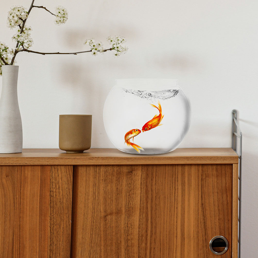 1Set Clear Desktop Fish Bowl S - đánh giá và giá Planted Aquarium Bowl