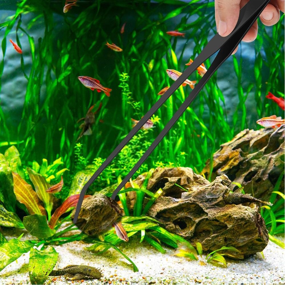Stainless Steel Long Aquarium  - đánh giá và giá Non Planted Aquarium Fish