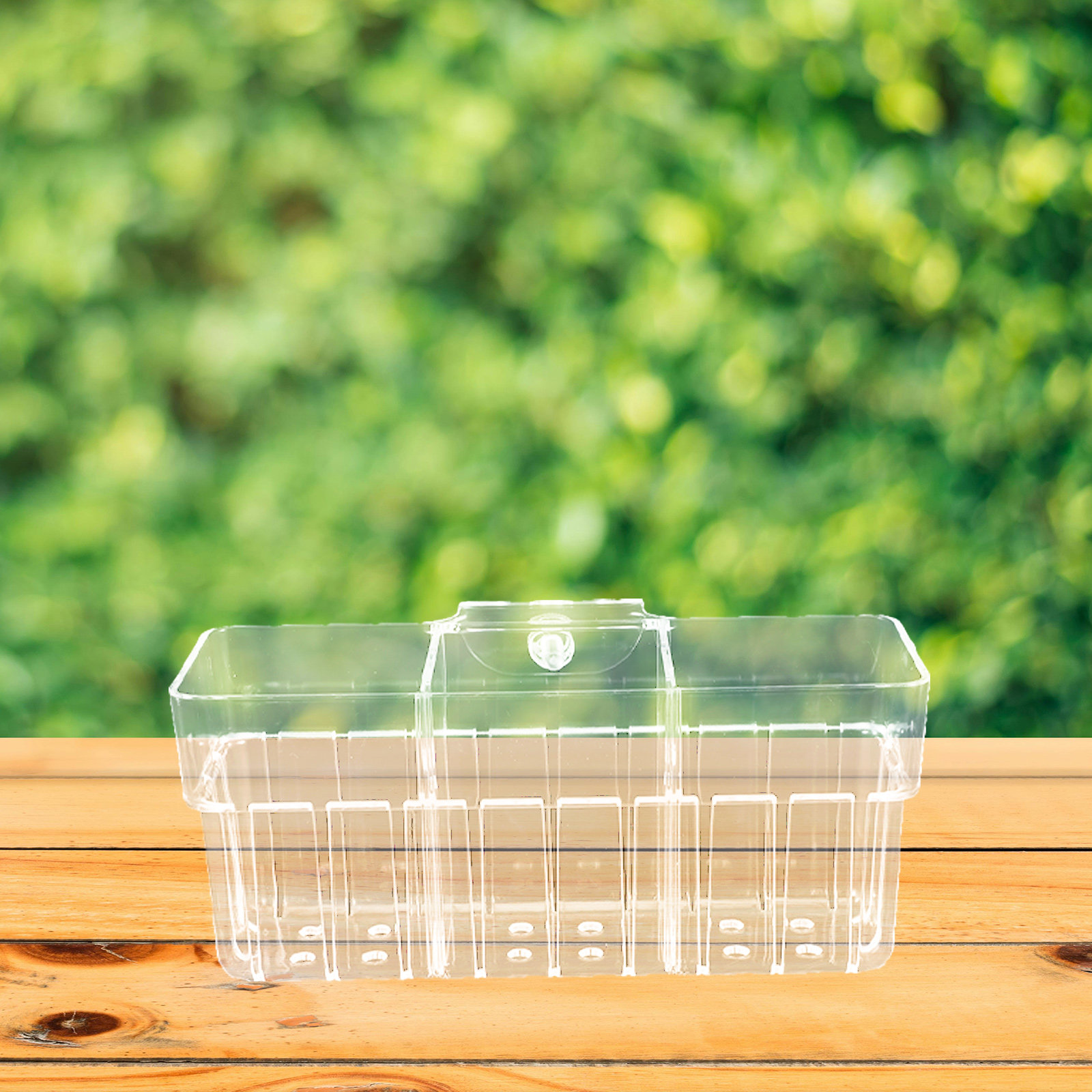 Three Compartment Clear Hydrop - đánh giá và giá Planted Aquarium Bowl
