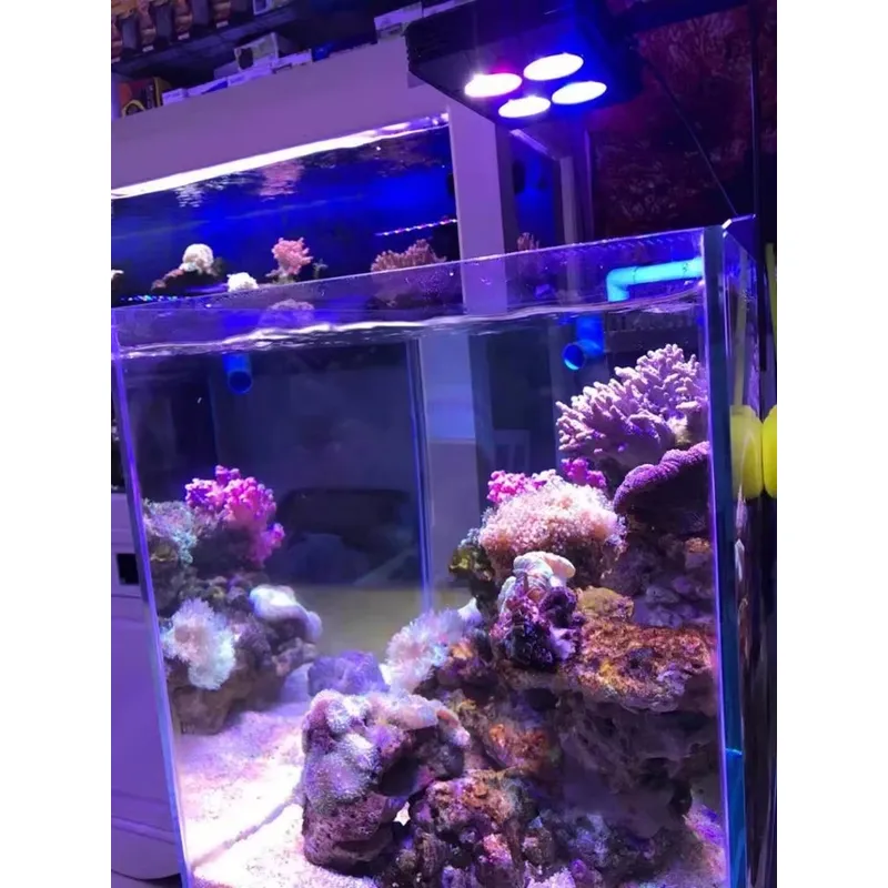 Gako A052 52w Hot Sale Aquariu - đánh giá và giá Planted Aquarium For Sale