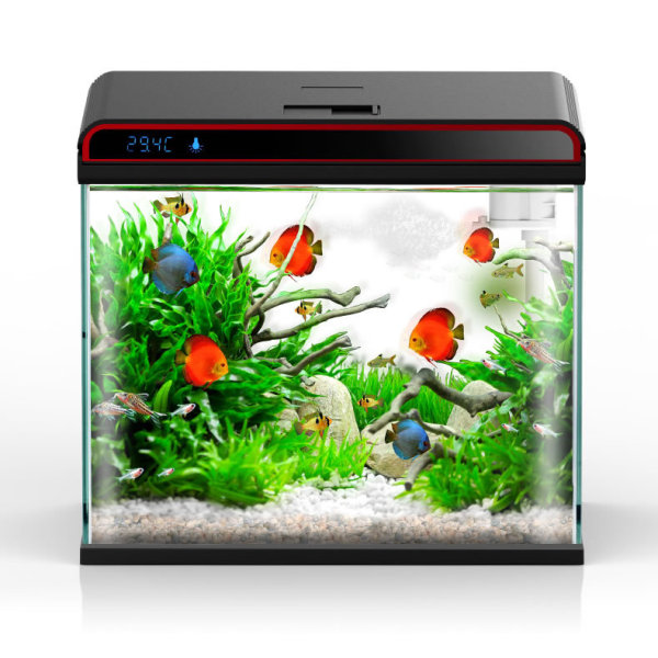 Sunsun 4-in-1 Aquarium Water C - đánh giá và giá Planted Aquarium Algae Control