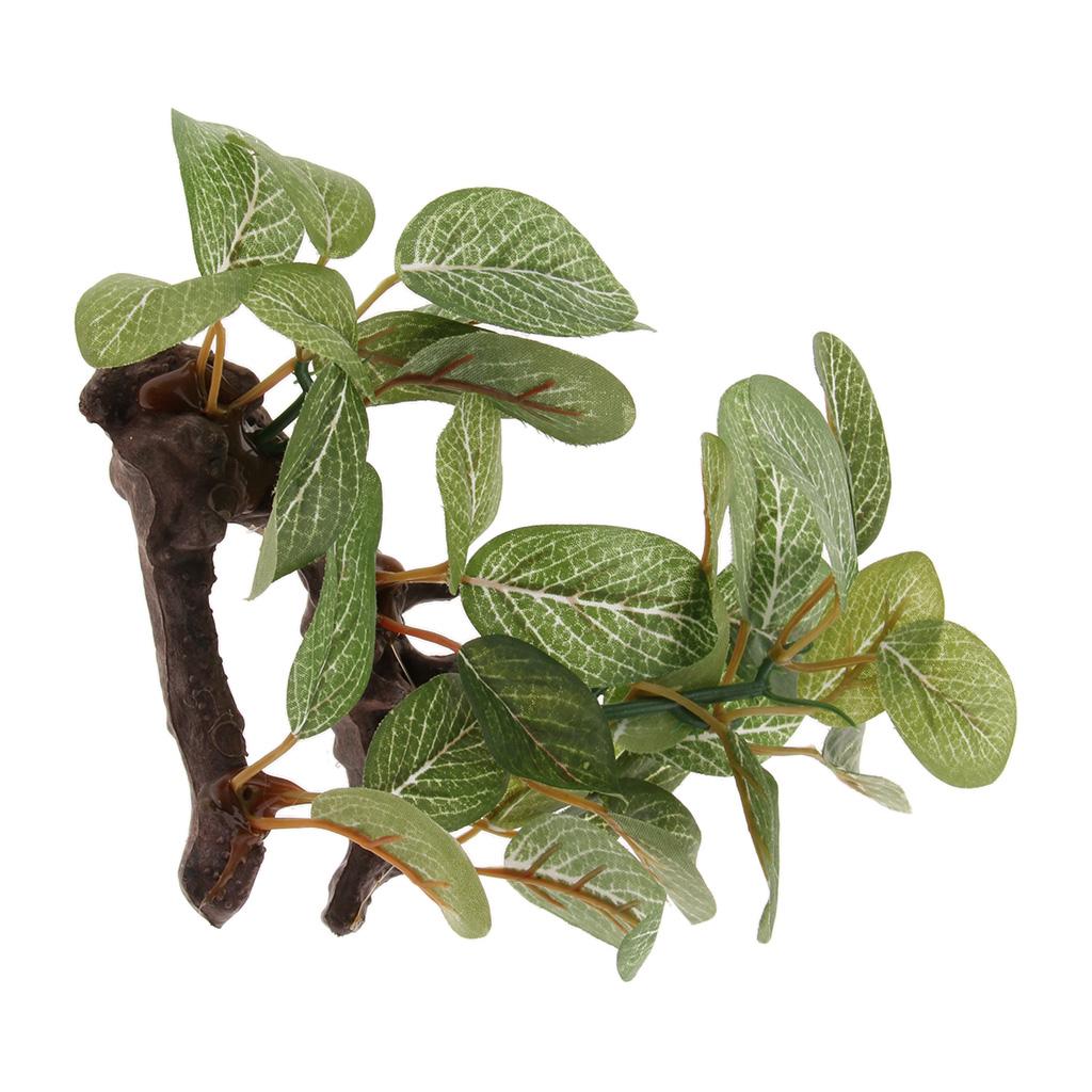 Tropical Rainforest Rattan Vin - đánh giá và giá Planted Aquarium Bowl