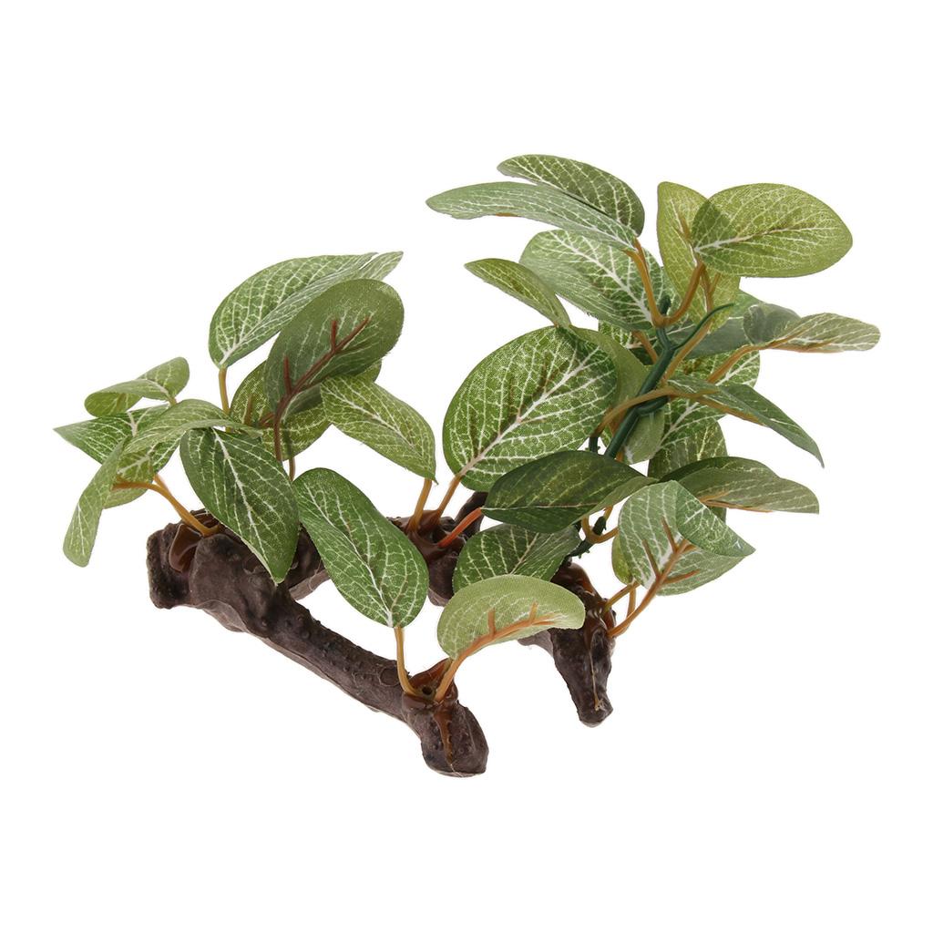 Tropical Rainforest Rattan Vin - đánh giá và giá Planted Aquarium Bowl