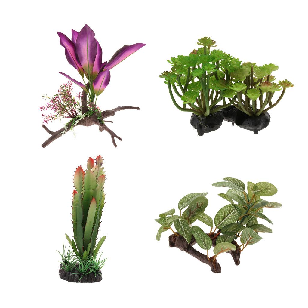 Tropical Rainforest Rattan Vin - đánh giá và giá Planted Aquarium Bowl