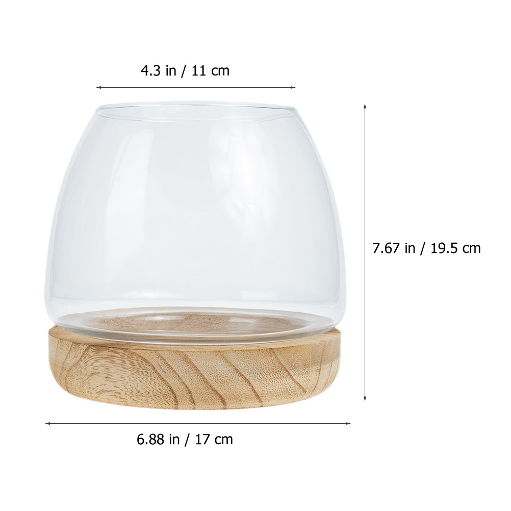 1Set Clear Glass Hydroponic Pl - đánh giá và giá Planted Aquarium Bowl