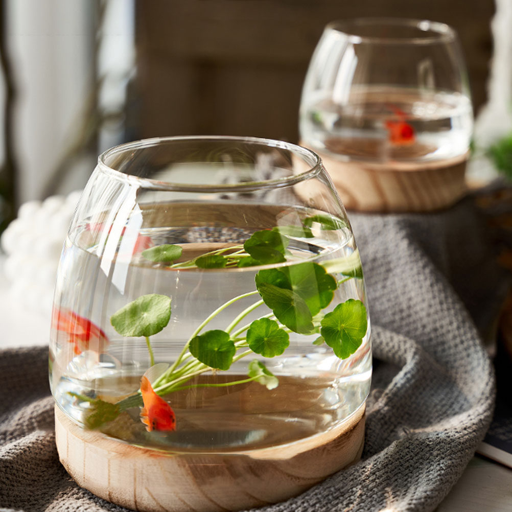 1Set Clear Glass Hydroponic Pl - đánh giá và giá Planted Aquarium Bowl