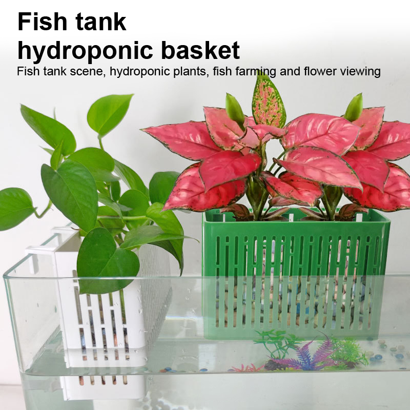 【F】Fish Tank Hanging Planter A - đánh giá và giá Aquarium Plant Rings