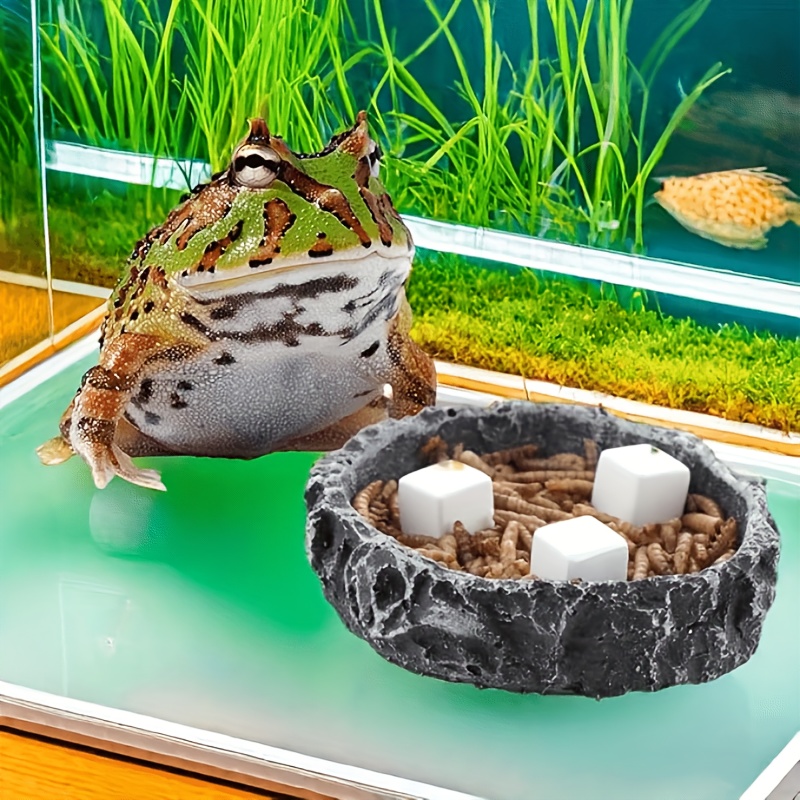 6 Pcs Fish Tank Calcium Block  - đánh giá và giá Aquasoil Substrate