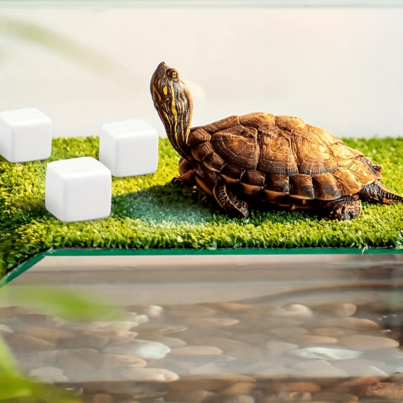 6 Pcs Fish Tank Calcium Block  - đánh giá và giá Aquasoil Substrate