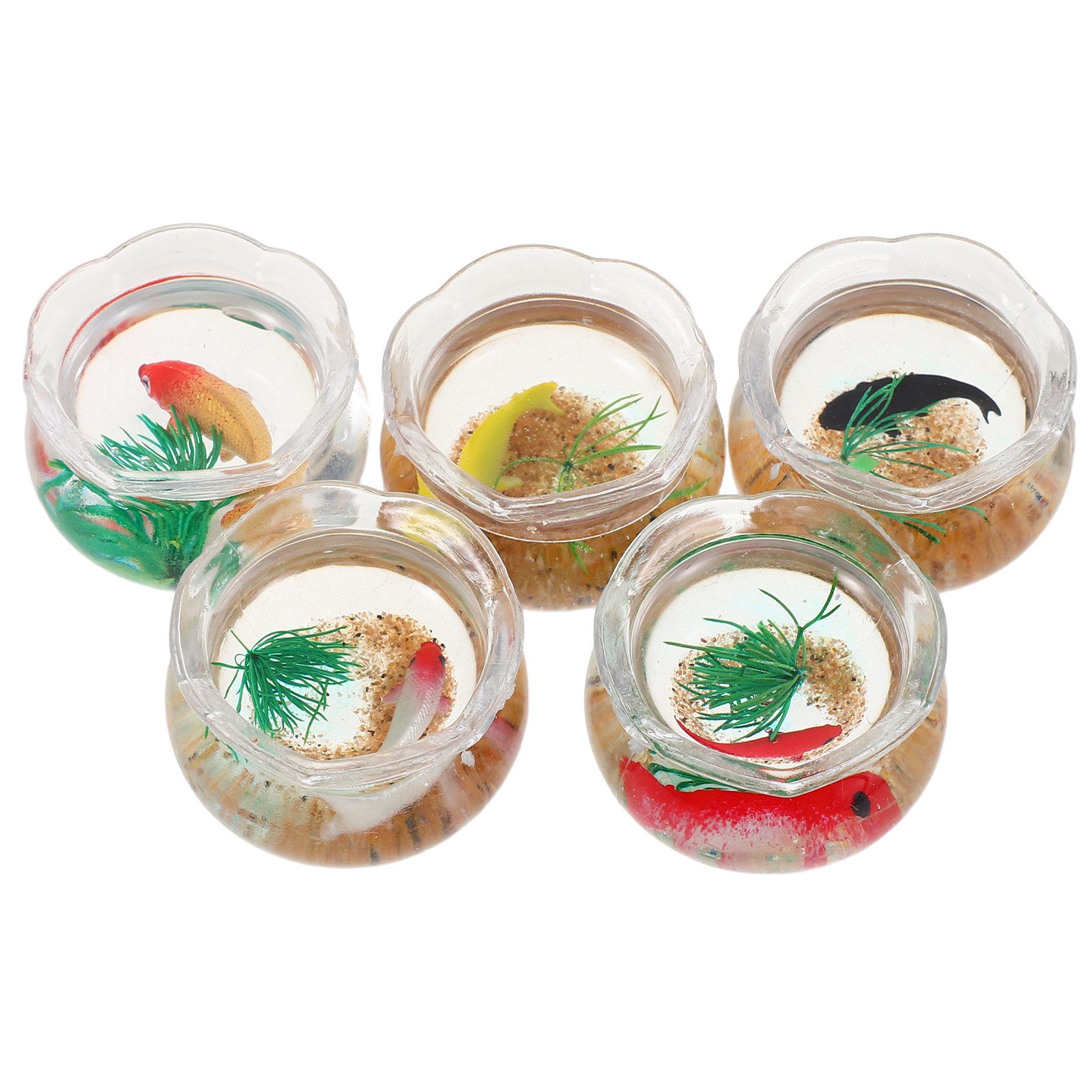 5Pcs Mini Fish Bowl Realistic  - đánh giá và giá Planted Aquarium Bowl