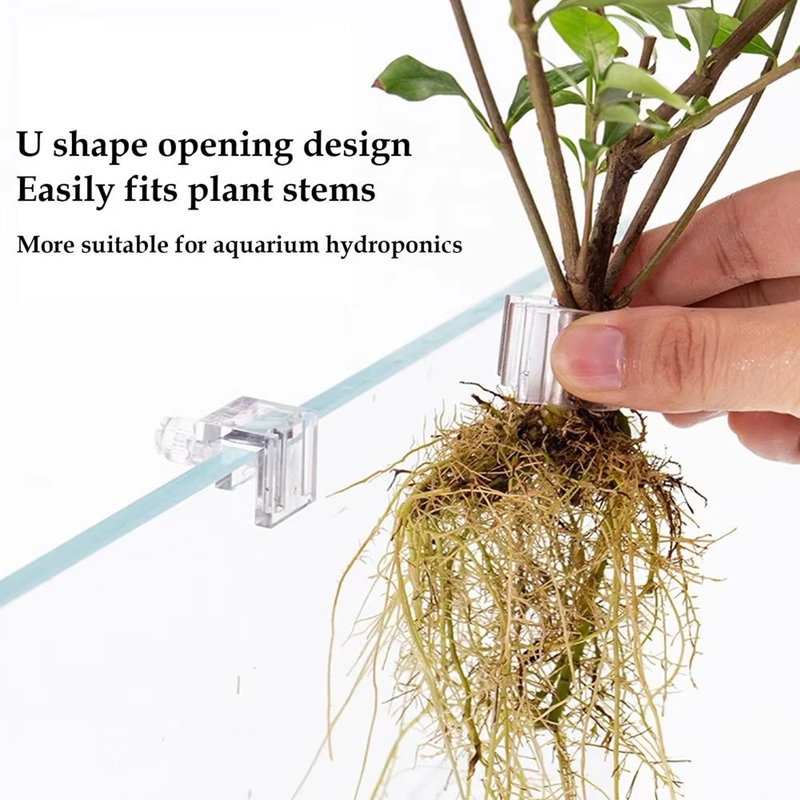 Hot Sale 6pcs Clear Aquarium P - đánh giá và giá Planted Aquarium For Sale