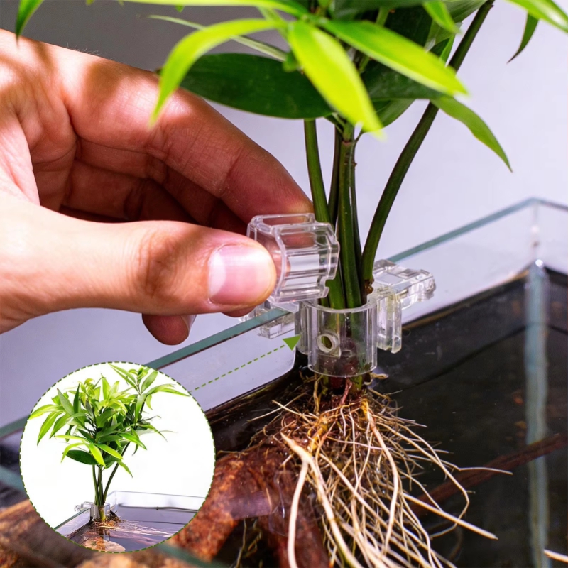 Hot Sale 6pcs Clear Aquarium P - đánh giá và giá Planted Aquarium For Sale