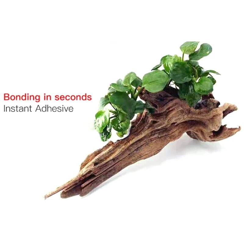 1.8oz/3.5oz Moss Glue Quick Dr - đánh giá và giá Non Planted Aquarium Fish